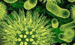 और चार मरीजों की मृत्यु कोरोना के डेल्टा वेरिएंट के कारण और चार मरीजों की मृत्यु कोरोना के डेल्टा वेरिएंट के कारण