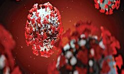 डेल्टा प्लस वेरिएंट को लेकर सावधानी जरुरी-कलेक्टर डेल्टा प्लस वेरिएंट को लेकर सावधानी जरुरी-कलेक्टर