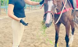 अभिनेत्री की तस्वीरें वायरल- फैंस बोला- ये घोड़ा है या खच्चर अभिनेत्री की तस्वीरें वायरल- फैंस बोला- ये घोड़ा है या खच्चर