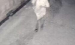 निर्माणाधीन मकान पर बदमाशों का धावा-सीसीटीवी में कैद निर्माणाधीन मकान पर बदमाशों का धावा-सीसीटीवी में कैद