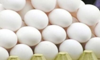 अंडा दूर करेगा कुपोषण, मधुमेह पीड़ितों के लिए लाभदायक
