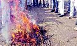 सपा कार्यकर्ताओं ने फूंका मुख्यमंत्री का पुतला, 25 हिरासत में