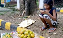 संकट काल में शिक्षा का जज्बा-चाहिए था स्मार्टफोन-1.2 लाख में बेचें 12 आम