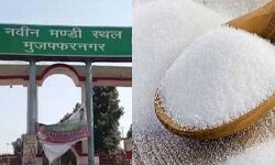 मुजफ्फरनगर मंडी में चीनी के भाव