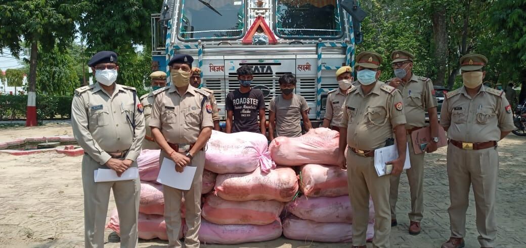 अन्तर्राज्यीय गांजा तस्करों पर चला चाबुक- 65 लाख का गांजा बरामद