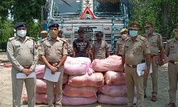 अन्तर्राज्यीय गांजा तस्करों पर चला चाबुक- 65 लाख का गांजा बरामद अन्तर्राज्यीय गांजा तस्करों पर चला चाबुक- 65 लाख का गांजा बरामद