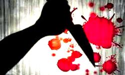 सब्जी पसंद नहीं आने पर पत्नी के चाकू घोंपा