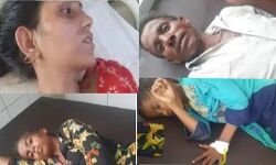 मुर्गे का कहर-नाश्ते में खाया चिकन-पूरा परिवार हुआ अस्पताल में भर्ती मुर्गे का कहर-नाश्ते में खाया चिकन-पूरा परिवार हुआ अस्पताल में भर्ती