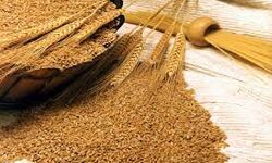 खाद्य तेलों में उतार-चढ़ाव-गेहूँ मजबूत