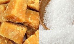 मुजफ्फरनगर मंडी में गुड़ व चीनी के भाव मुजफ्फरनगर मंडी में गुड़ व चीनी के भाव