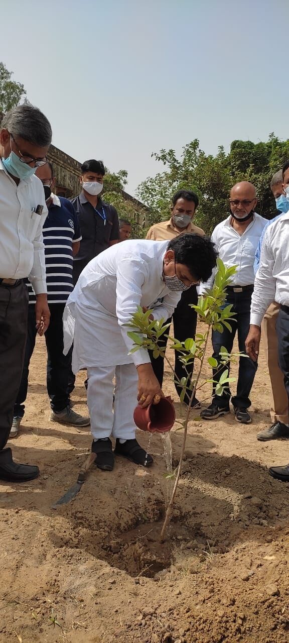 पर्यावरण की सुरक्षा हम सभी का दायित्व-प्रतिवर्ष एक पेड़ जरूर लगाएं कपिल देव