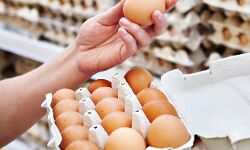 लो जी अब होगा सस्ते जैविक अंडों का उत्पादन-जानिए इसकी खासियत