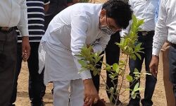 पर्यावरण की सुरक्षा हम सभी का दायित्व-प्रतिवर्ष एक पेड़ जरूर लगाएं कपिल देव पर्यावरण की सुरक्षा हम सभी का दायित्व-प्रतिवर्ष एक पेड़ जरूर लगाएं कपिल देव