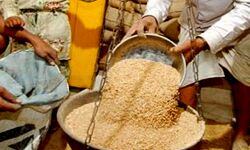 नहीं रहेगा कोई भूखा-सोमवार से मिलेगा निशुल्क राशन-आदेश जारी नहीं रहेगा कोई भूखा-सोमवार से मिलेगा निशुल्क राशन-आदेश जारी