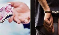 डिप्टी रेंजर व वनरक्षक रिश्वत लेते गिरफ्तार डिप्टी रेंजर व वनरक्षक रिश्वत लेते गिरफ्तार