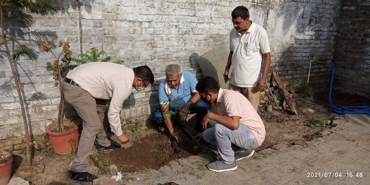 DEO उदय प्रकाश ने किया वृक्षारोपण DEO उदय प्रकाश ने किया वृक्षारोपण