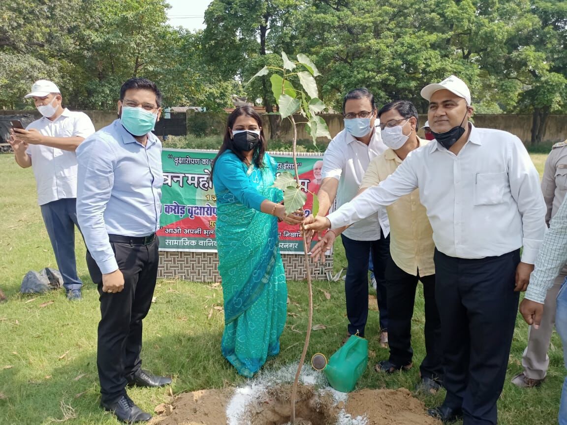 वृक्षारोपण जन आन्दोलन 2021-बडे पैमाने पर जनपदभर में रोपे गये पौधे