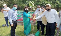 वृक्षारोपण जन आन्दोलन 2021-बडे पैमाने पर जनपदभर में रोपे गये पौधे वृक्षारोपण जन आन्दोलन 2021-बडे पैमाने पर जनपदभर में रोपे गये पौधे