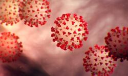 कोरोना वायरस -गामा स्ट्रेन के 3 वेरिएंट खोजे गए