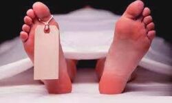 दो किशोर व युवक का शव बरामद - हत्या की आशंका दो किशोर व युवक का शव बरामद - हत्या की आशंका