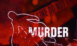 नशे में धुत युवक ने छोटे भाई की हत्या की नशे में धुत युवक ने छोटे भाई की हत्या की