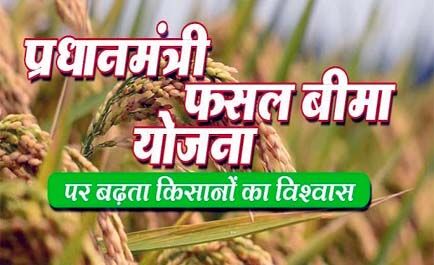 बगैर जानकारी किसानो के खाते से बीमा कंपनी ने काटे लाखों रूपये बगैर जानकारी किसानो के खाते से बीमा कंपनी ने काटे लाखों रूपये
