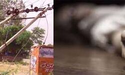 बिजली का खंभा गिरने से महिला की मौत - लोगों ने किया जींद - रोड जाम बिजली का खंभा गिरने से महिला की मौत - लोगों ने किया जींद - रोड जाम