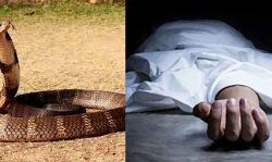 सर्पदंश से मौत- राज्य आपदा घोषित, परिजनों को 4 लाख की मदद सर्पदंश से मौत- राज्य आपदा घोषित, परिजनों को 4 लाख की मदद