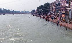 हजारों लोगों ने नम आंखों से दी दो सगे भाइयों को अंतिम विदाई हजारों लोगों ने नम आंखों से दी दो सगे भाइयों को अंतिम विदाई