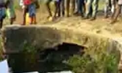 महिला और उसके 3 बच्चों का शव कुएं से बरामद