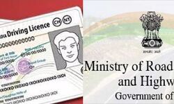 हुआ झंझट खत्म- बिना टेस्ट बनेंगे ड्राइविंग लाइसेंस हुआ झंझट खत्म- बिना टेस्ट बनेंगे ड्राइविंग लाइसेंस