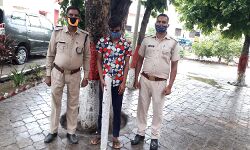 वांछित अपराधी अरेस्ट- लाठियां बरामद वांछित अपराधी अरेस्ट- लाठियां बरामद