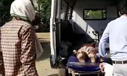 सूदखोरों का डर-छोटे भाई को गोली मारकर बड़े ने खुद को उड़ाया सूदखोरों का डर-छोटे भाई को गोली मारकर बड़े ने खुद को उड़ाया