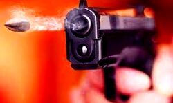 दो भाईयों की गोली लगने से मौत