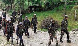 सुरक्षा बलों ने की IED निष्क्रिय सुरक्षा बलों ने की IED निष्क्रिय