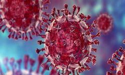 कोरोना के नए वेरिएंट कप्पा संक्रमित -11 मरीज मिले