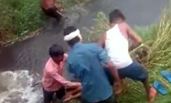 हादसा-निर्दयी बारिश ने ले ली 8 वर्षीय बालिका की जान