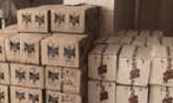 262 कार्टन विदेशी शराब बरामद