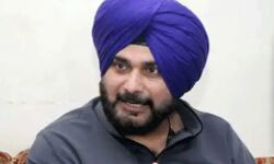 सिद्धू का सिक्सर बाउंड्री के पार-होंगे प्रदेशाध्यक्ष-CM रहेंगे कैप्टन सिद्धू का सिक्सर बाउंड्री के पार-होंगे प्रदेशाध्यक्ष-CM रहेंगे कैप्टन