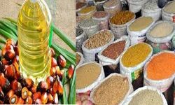 पाम ऑयल में नरमी -अन्य खाद्य तेलों में टिकाव पाम ऑयल में नरमी -अन्य खाद्य तेलों में टिकाव