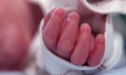 पत्नी पर फावड़े से प्रहार-गोद में सो रही 9 माह की मासूम की मौत पत्नी पर फावड़े से प्रहार-गोद में सो रही 9 माह की मासूम की मौत