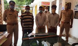 बाबरी पुलिस ने दबोचें तीन वांछित आरोपी