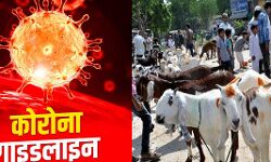 बकरीद पर करना होगा कोविड गाइडलाइन का पालन बकरीद पर करना होगा कोविड गाइडलाइन का पालन