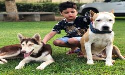 महिला के लिए 7 साल का मासूम बना जीवनदाता-कारनामा देखकर बडे भी दंग