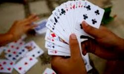 7 महिलाओं सहित 11 जुआरी हिरासत में 7 महिलाओं सहित 11 जुआरी हिरासत में