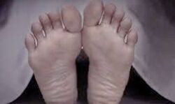 सर्पदंश से किशोर सहित दो लोगों की मृत्यु