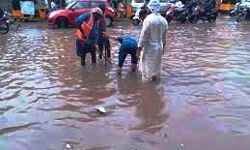 भारी बारिश - राव ने अधिकारियों को अलर्ट रहने को कहा भारी बारिश - राव ने अधिकारियों को अलर्ट रहने को कहा