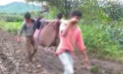 सड़क नहीं होने के चलते गर्भवती को झोली में डाल कर ले गए सड़क नहीं होने के चलते गर्भवती को झोली में डाल कर ले गए