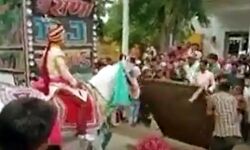 चढ़त को तैयार दूल्हे को लेकर भाग गई घोड़ी-मचा हड़कंप चढ़त को तैयार दूल्हे को लेकर भाग गई घोड़ी-मचा हड़कंप