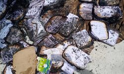 नगर निगम कार्यालय में आग लगने से कई महत्वपूर्ण फाइलें जलकर राख